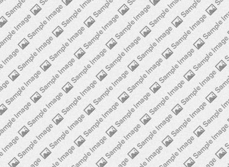 Promote your social media pages using the Social and Social Feed particles.